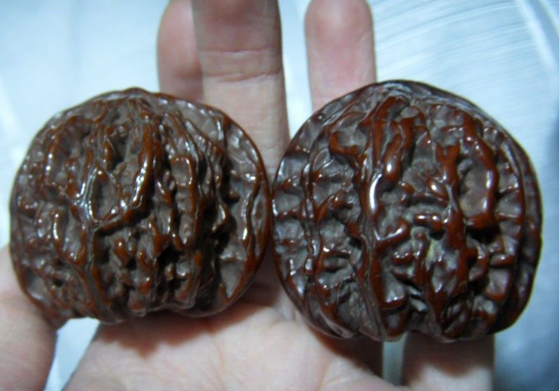 朋友家的一对百年文玩核桃第一次见到这么漂亮的野生狮子头