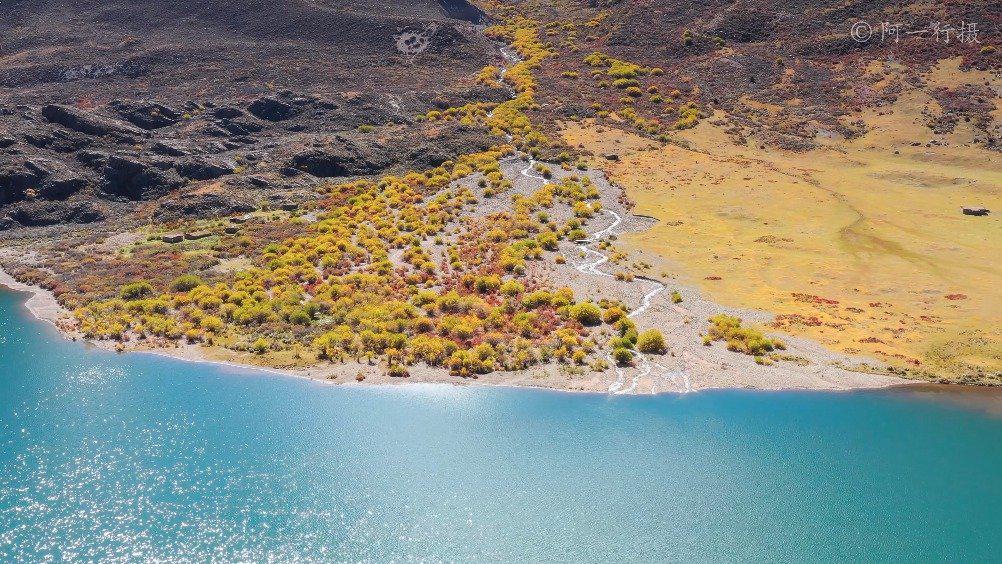 一片冲积扇上的彩林