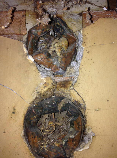 男子翻新房屋,却在厨房底下发现异物,挖出来一看后心里发凉