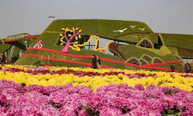 河南开封:市民广场赏菊乐