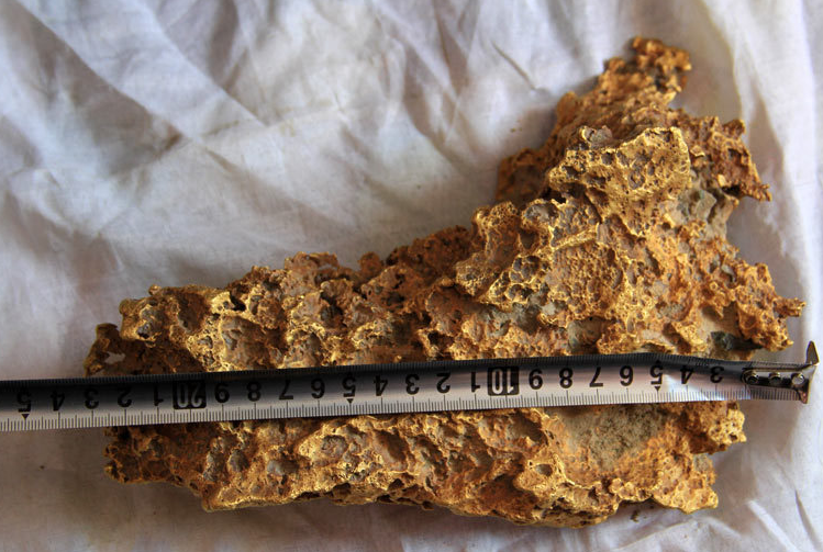 牧民捡到异常沉重的"黄石头",专家鉴定后立即通知政府赶到现场