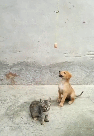 329_476竖版 竖屏gif 动态图 动图