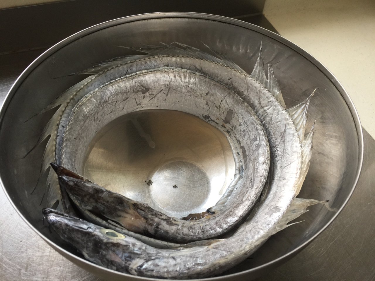 为了家人的健康,不妨看一看|带鱼|鱼鳞|表面_新浪新闻