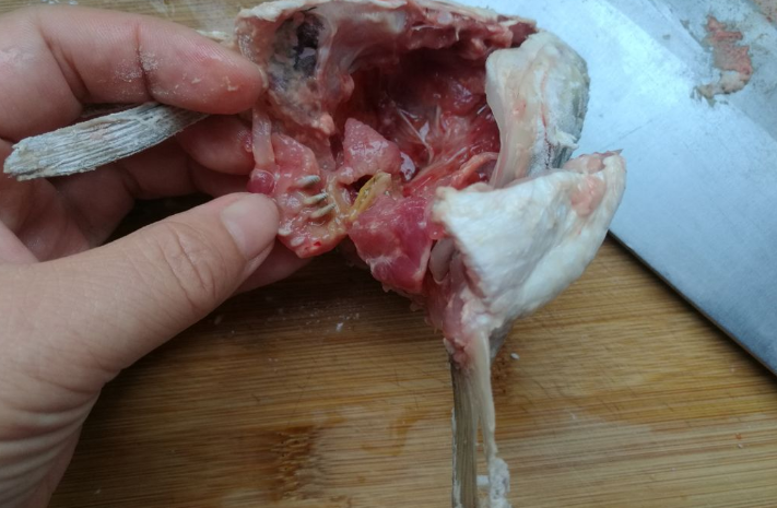 它是淡水鱼中的"极品",四季都便宜,刺少肉嫩,孩子尤其要多吃|草鱼|鱼