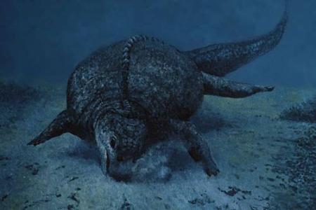 疑似乌龟的祖先,你没听说过的"乌龟龙",海龟和海象的融合__财经头条
