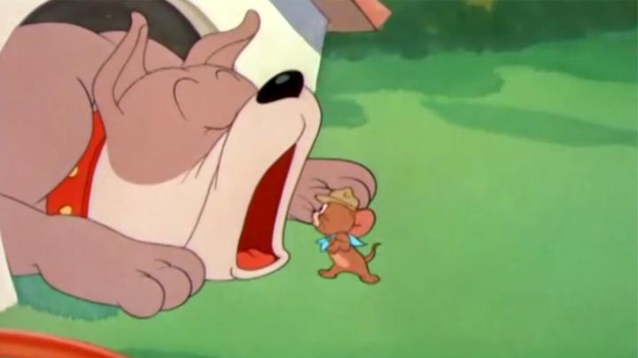 猫和老鼠:小老鼠冲到狗嘴里了,杰瑞快救宝宝啊,被吃可就糟了