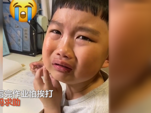 男童无法忍受写作业,找妈妈商量处罚办法,网友:中国孩子真可怜