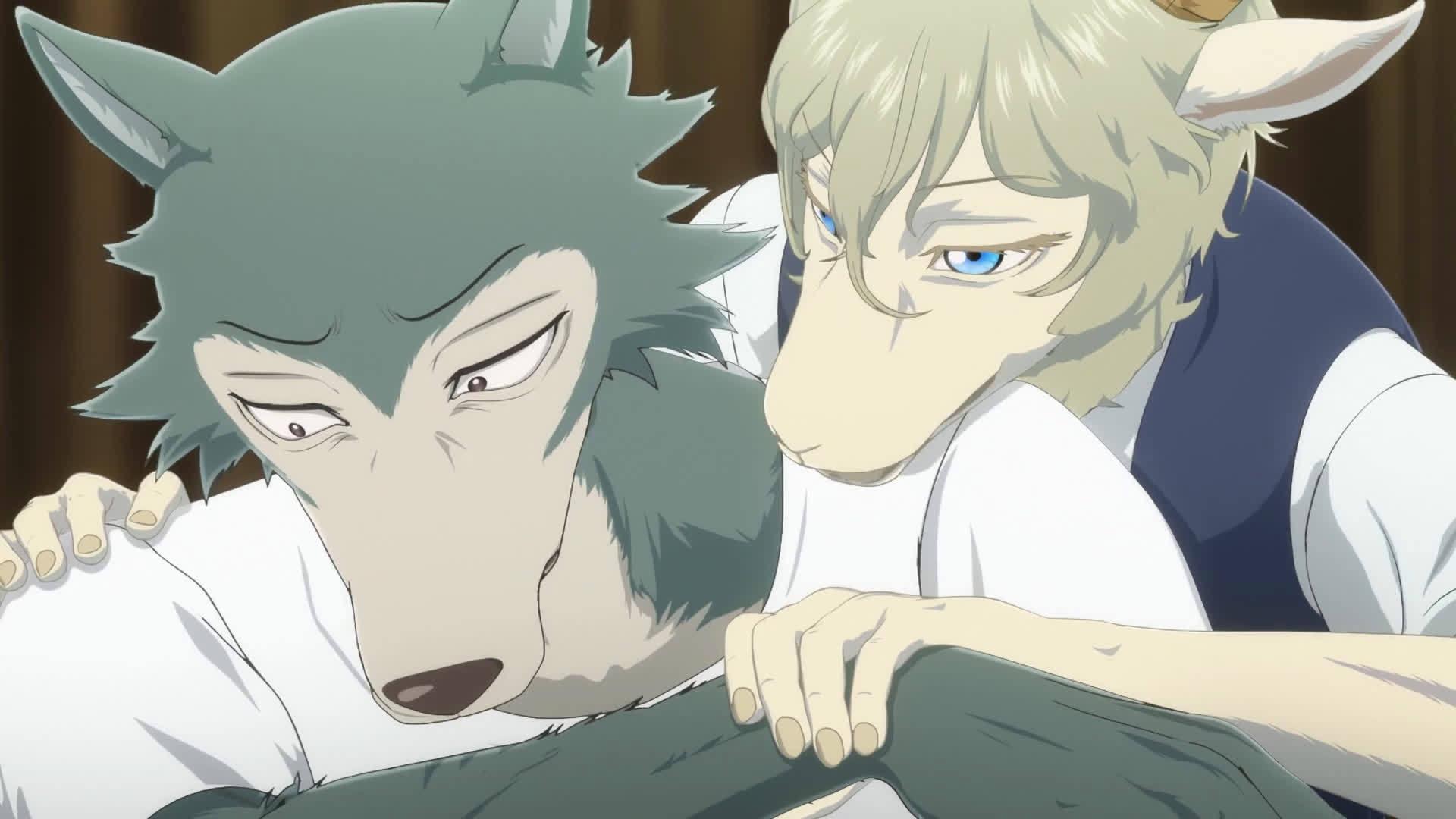 beastar《野兽巨星》第二期预告出来啦!