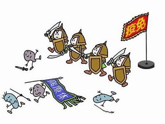 聊一聊|蛋白质和人体免疫力这两者之间的关系,你了解的有多少呢