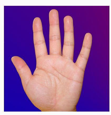 传说中的"发财手"!你有没有其中之一?|手掌|手相|财运_新浪新闻