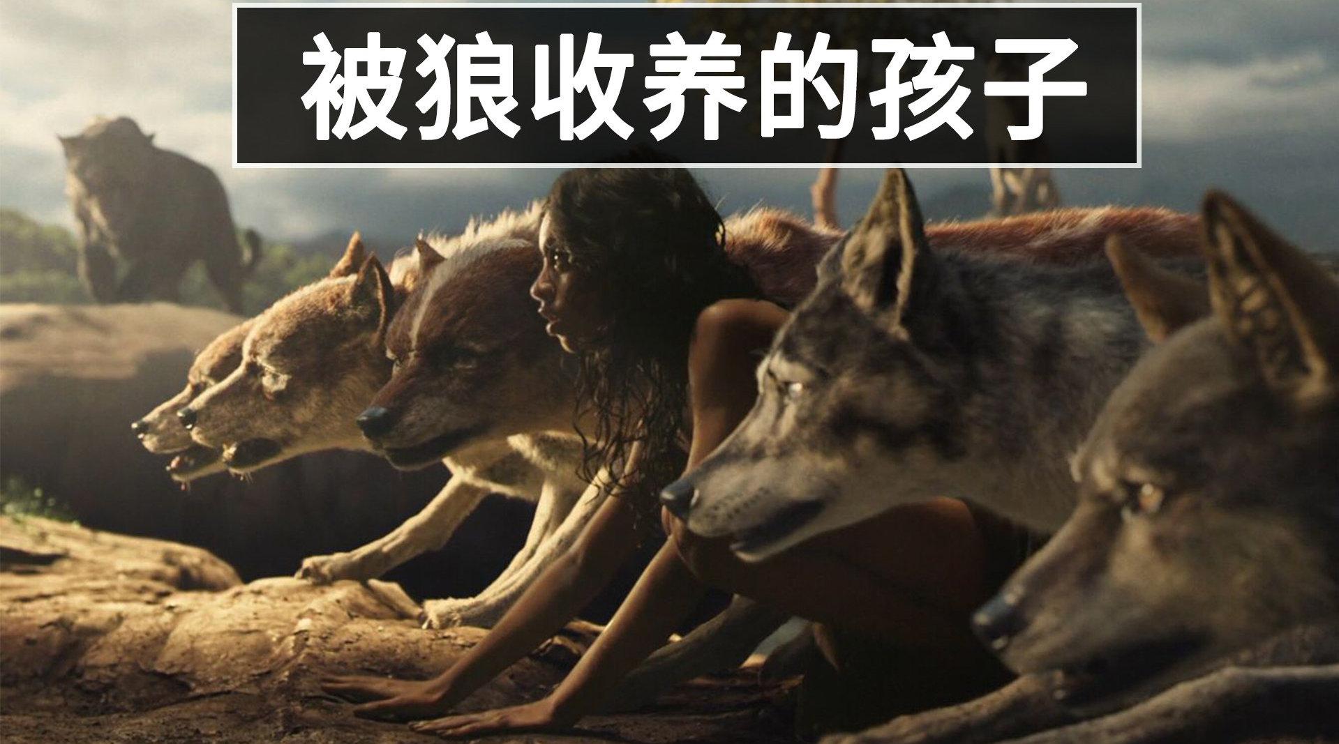 为什么狼遇到弃婴不吃掉?反而会养大他?