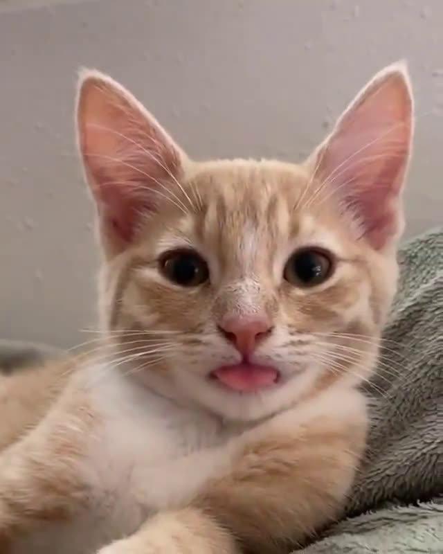 ri 美好的女孩子 为您推荐: 36岁小伙娶了72岁舅妈,老妻登台全场愣住