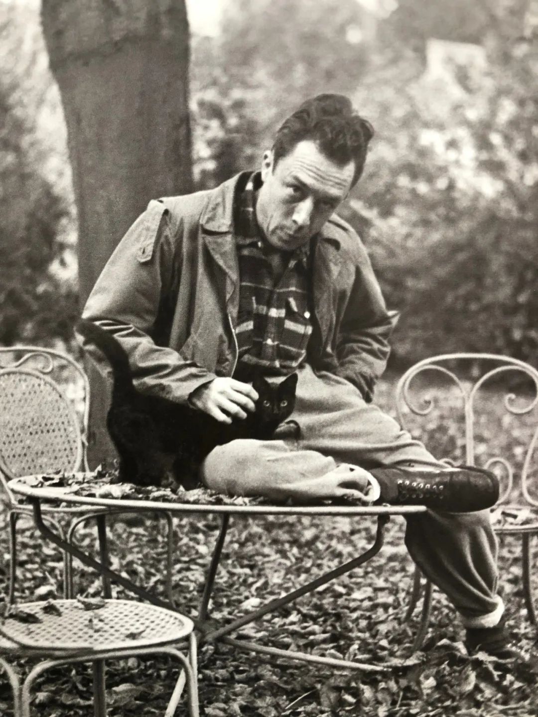 看到这位哲学家的脸,你只想和他谈情说爱|加缪|围巾|羊羔毛_新浪新闻