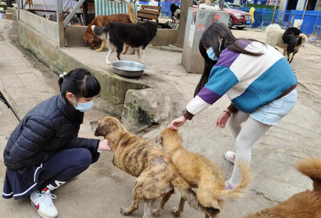 最会赚钱的小学生,月入过万,李佳琦知道了都会提心吊胆|狗_新浪新闻
