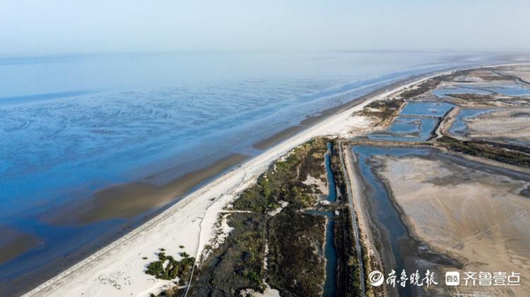 航拍滨州贝壳堤岛,这里有保存最完整的贝壳滩脊