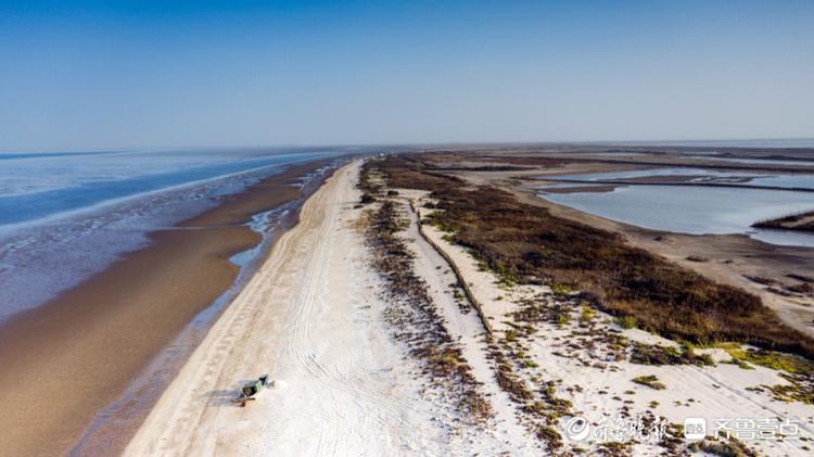 航拍滨州贝壳堤岛,这里有保存最完整的贝壳滩脊