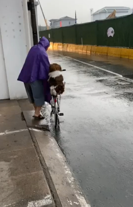 下雨天,网友跟一只陌生狗狗一起躲雨,但躲着躲着……心碎一地!