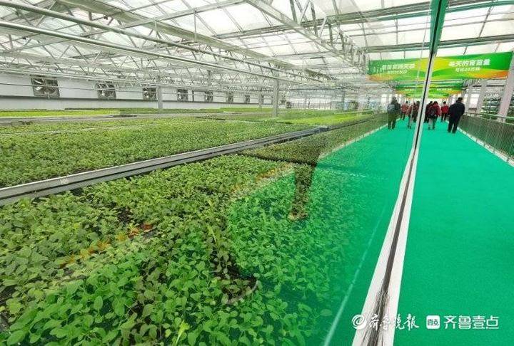 坊子seo推广关键词