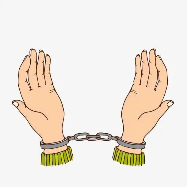 非法持有气枪铅弹1800余发一女子被判刑