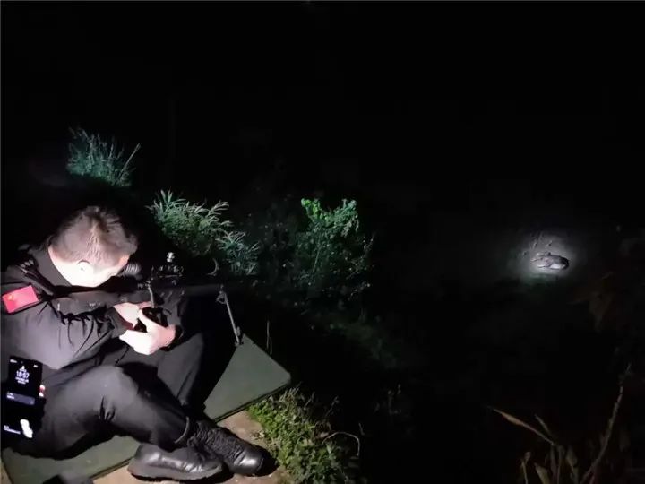 特警暗夜中瞄准疯牛