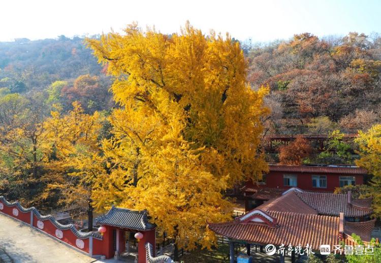 沂水县黄山镇,初冬的龙兴寺