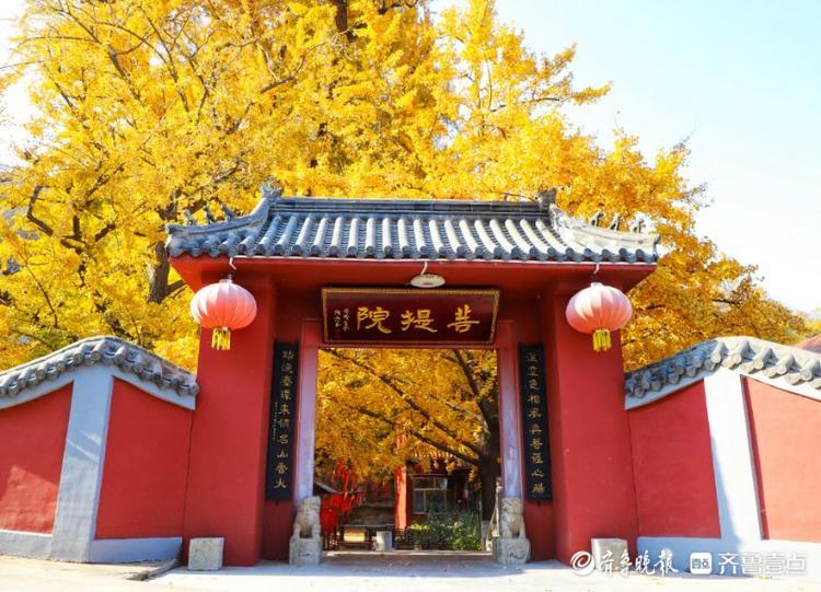 沂水县黄山镇,初冬的龙兴寺