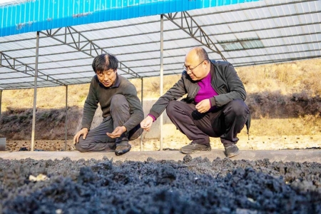 李朝阳在了解帮扶产业情况