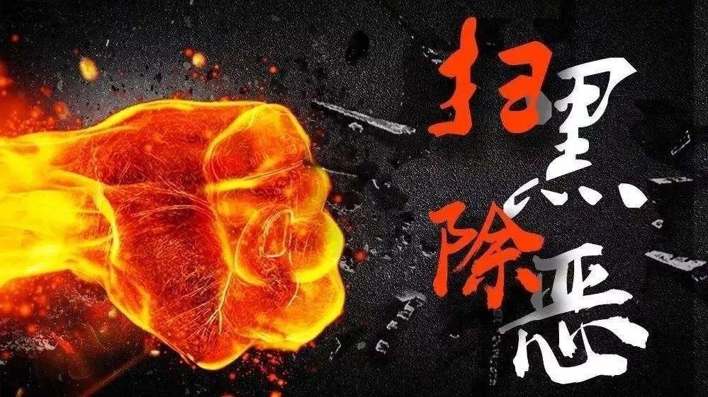 另有多个涉黑恶团伙案件在侦,共打掉涉黑恶团伙12个,牟平,海阳,栖霞