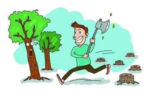 法院新闻|未办采伐许可证 擅自伐木获刑罚