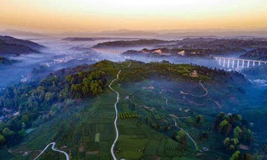 2020南方省会城市降_原有望成为南方一线大城市,被蒋介石一打,直接错失