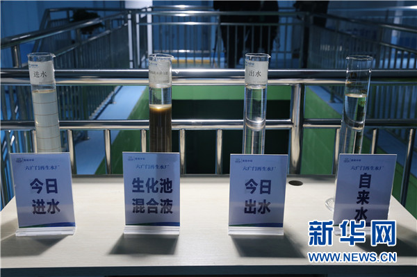11月10日,六广门再生水厂出水口展示的污水处理前后对比样品.