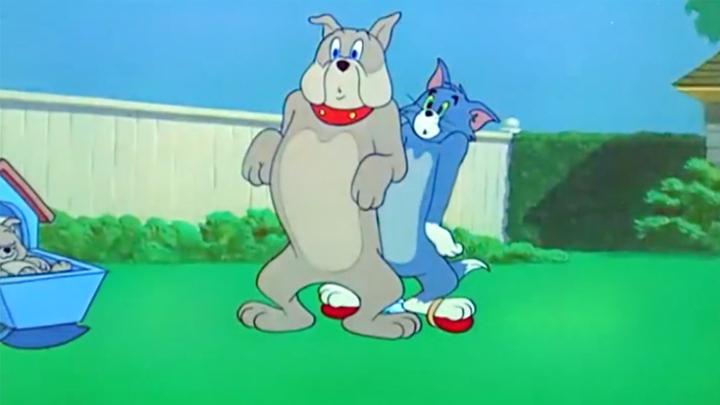 猫和老鼠汤姆又吵到狗狗了狗爸爸很生气赶紧藏好了呀