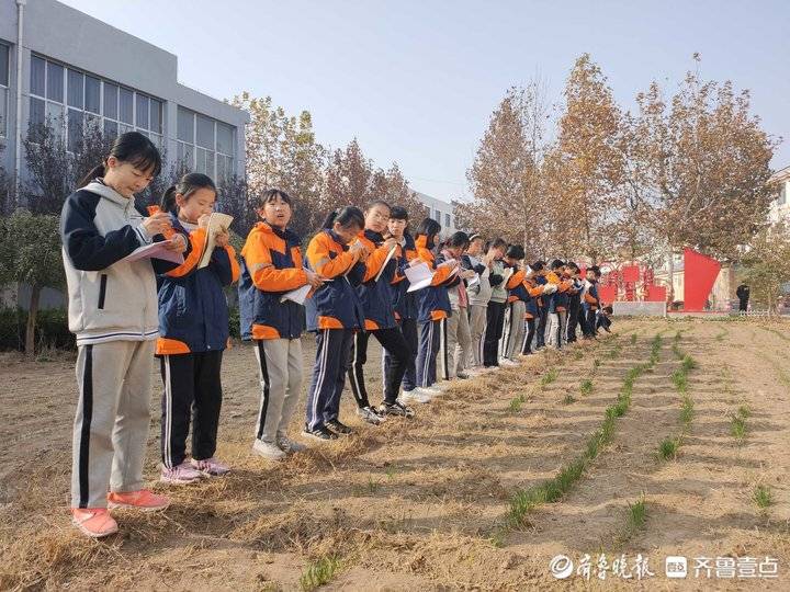 情报站|小麦与我同成长!滨州一学校学生参与种植劳动体验课