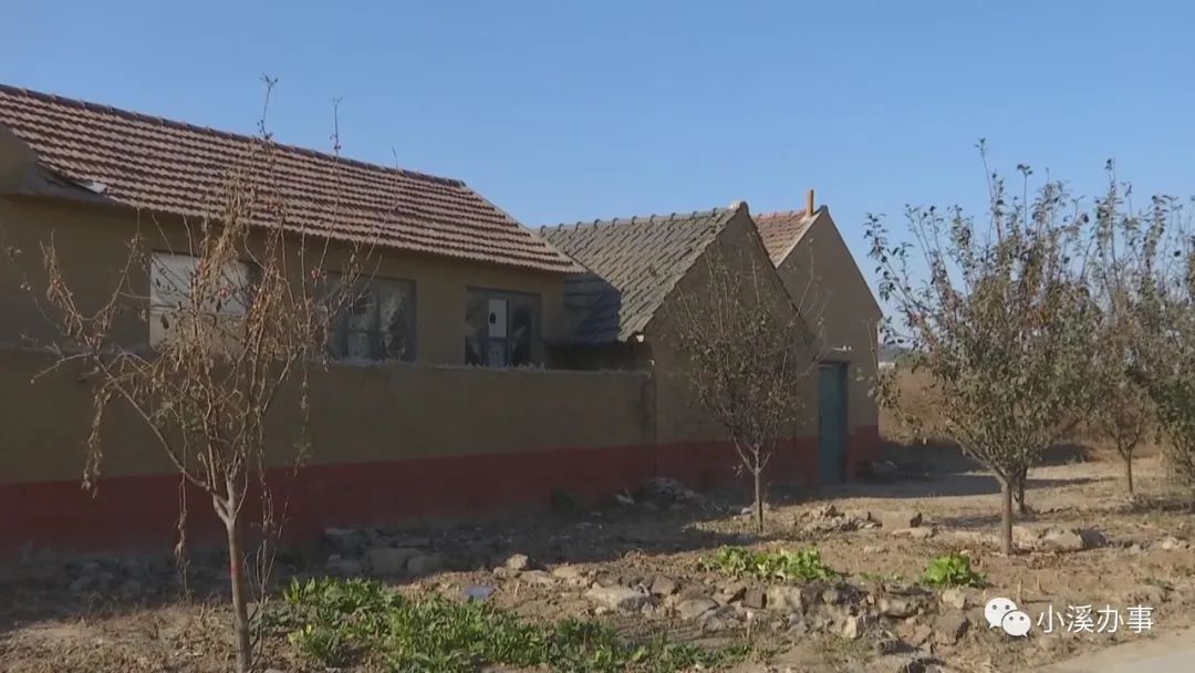 青岛窝棚母女安置妥善了