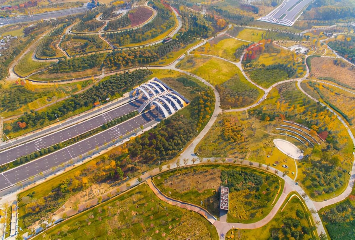 航拍郑州北龙湖湿地公园:树木染黄润红,初冬景色美如画卷_新浪新闻