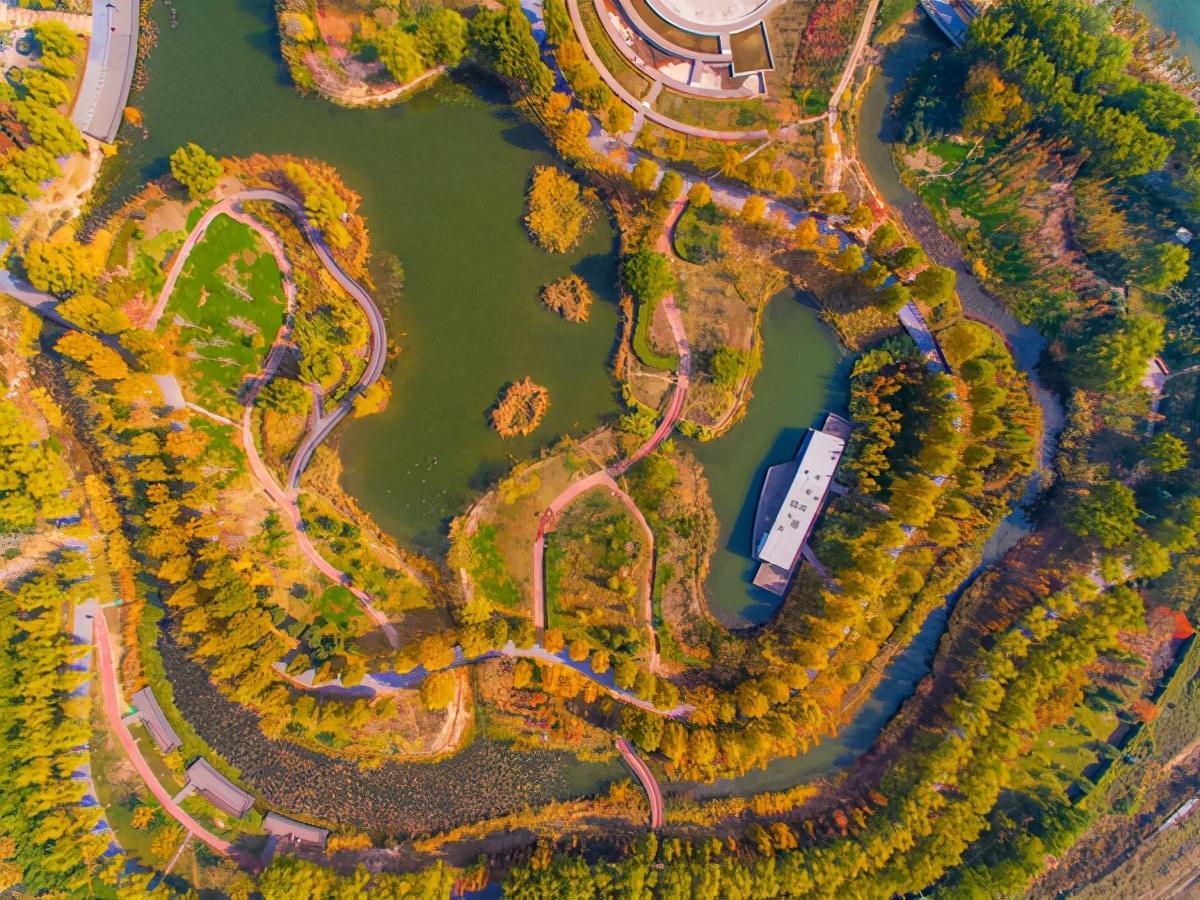航拍郑州北龙湖湿地公园树木染黄润红初冬景色美如画卷