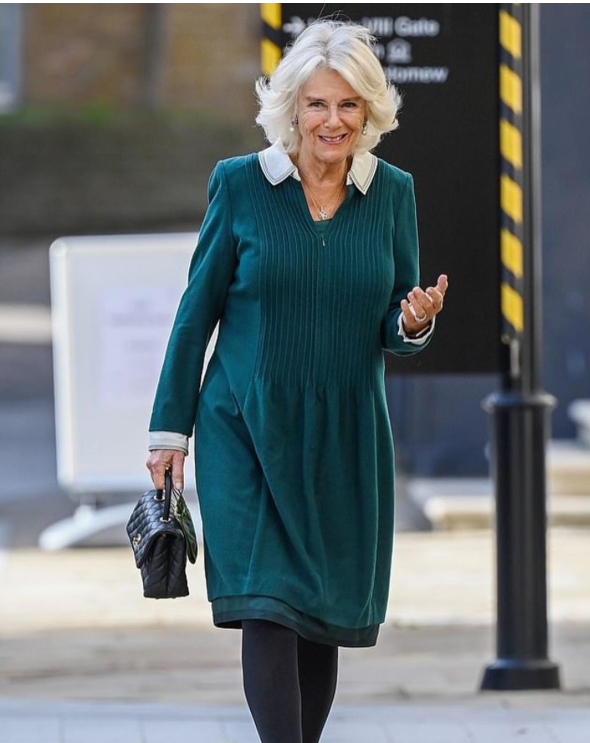 卡米拉难得打扮精致73岁的她穿小黑裙领口开个小叉优雅迷人