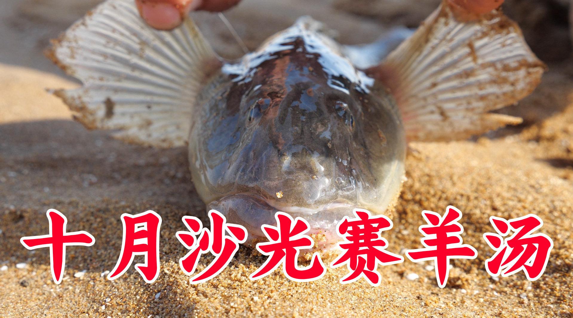 大梅赶海收获两条傻瓜沙光鱼,回家给"漏风的皮夹克"们,补一补