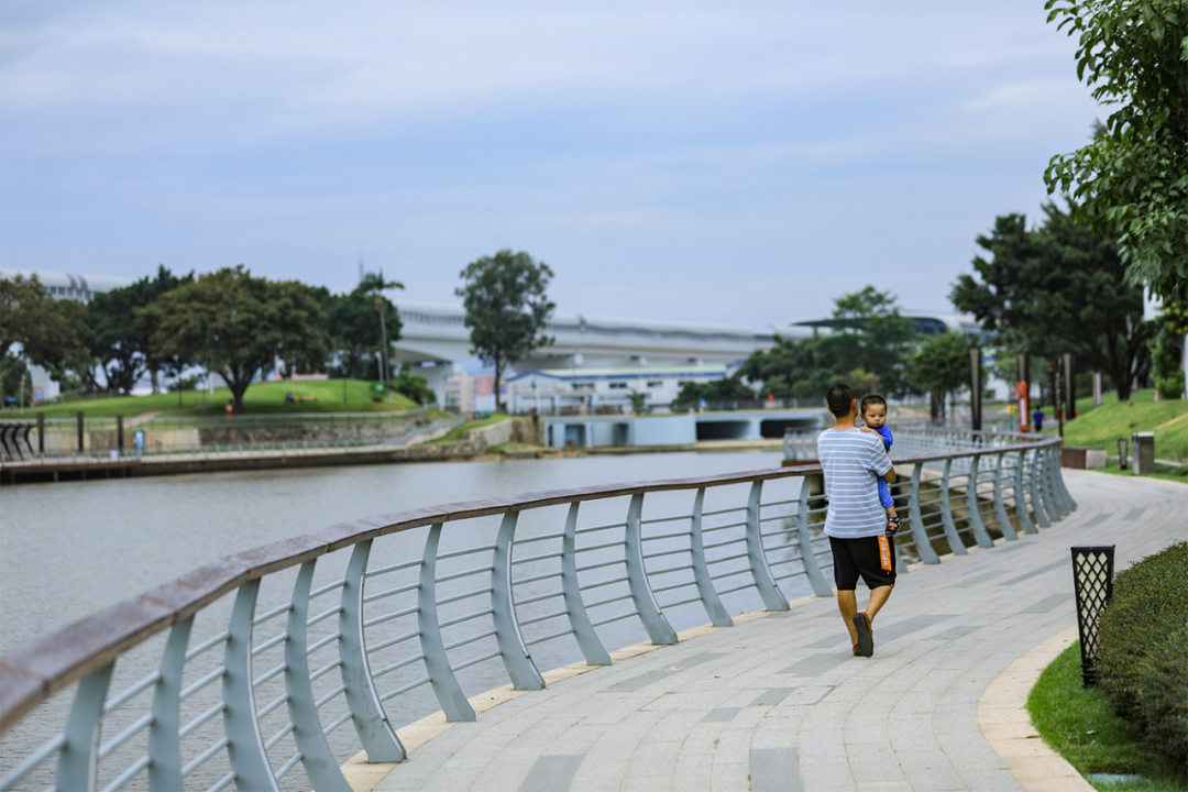 【发现光明治水景观】翠湖公园:人行明镜中,鸟度屏风里