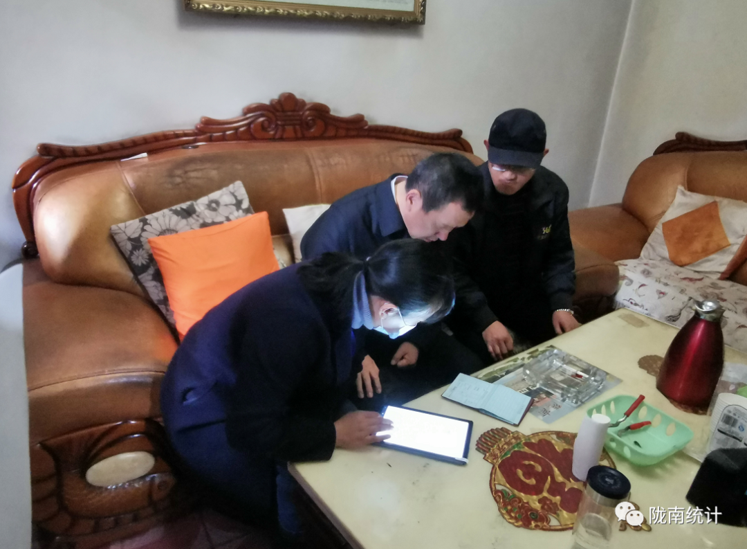 陇南市人口分布_省人普办督导陇南人口普查工作