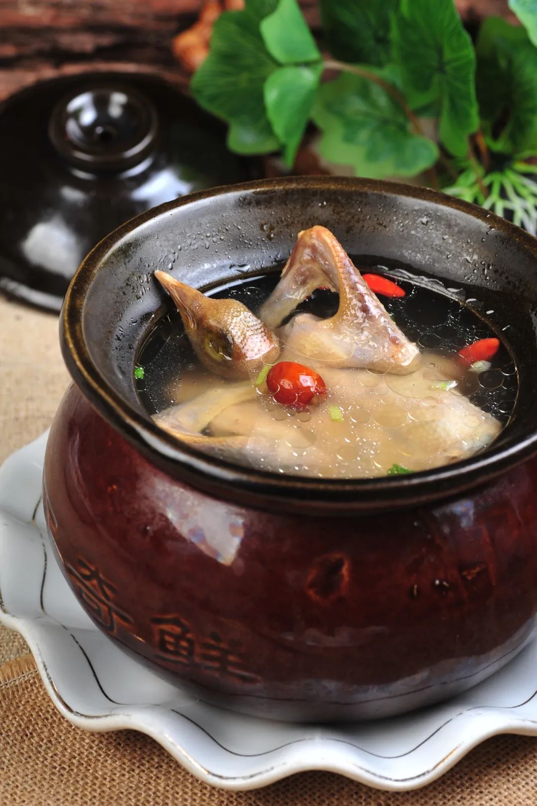 浙江一带的鸽子煲.摄影/炳生摄影,图/汇图网