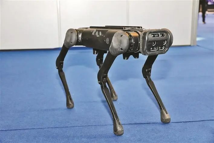 会撒娇卖萌"机器狗",餐饮机器人,工业无人机 .高交会这些ai产品火了