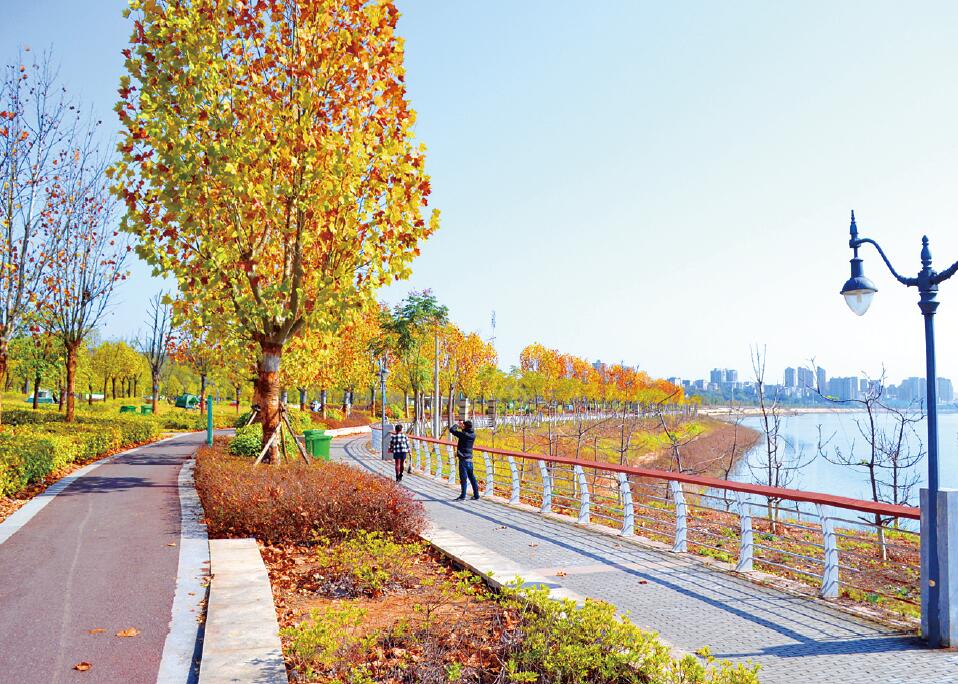 湖北十堰南水北调生态岸线初冬美如画