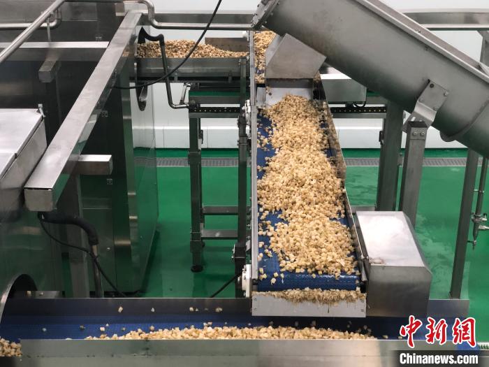 三峡大坝发电计入重庆GDP吗_三峡名城宜昌的2020年一季度GDP出炉,甩开焦作,直追驻马店