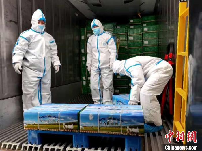 图为蒙古国捐赠羊正在装车。 张晓琴 摄