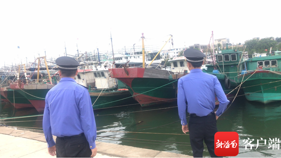 市海洋与渔业行政执法大队和市综合行政执法局的执法人员对驶离渔港内的船只展开侦察检查,确认渔船回港避风情况。记者 苏桂除 摄