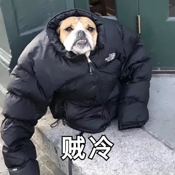 厦门入秋成功又一波冷空气来袭台风环高最新消息