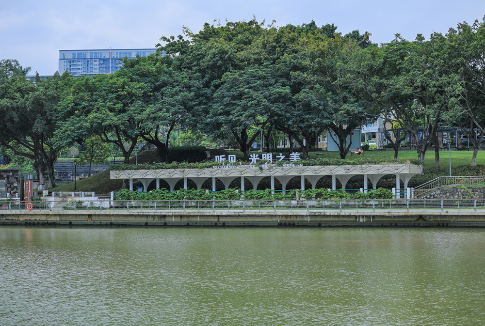 【发现光明治水景观】翠湖公园:人行明镜中,鸟度屏风里