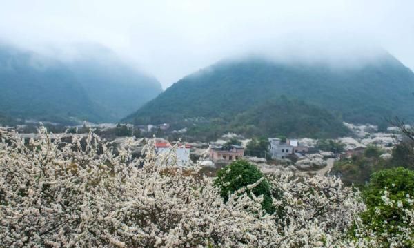 2020清远各县区GDP_清远、韶关、梅州、河源2020年第一季度GDP生产总值
