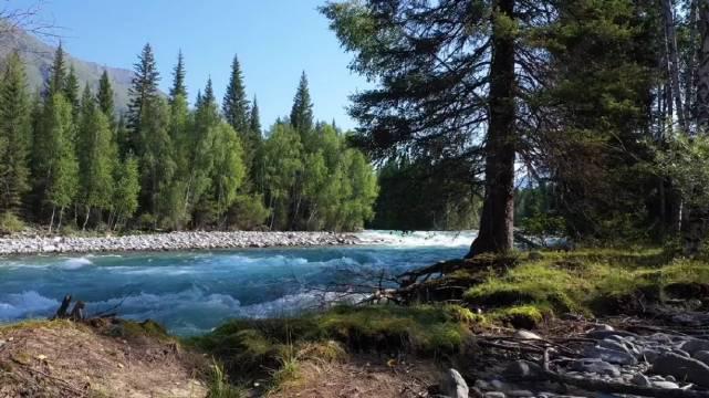 大自然真美!(来源:猫爷)